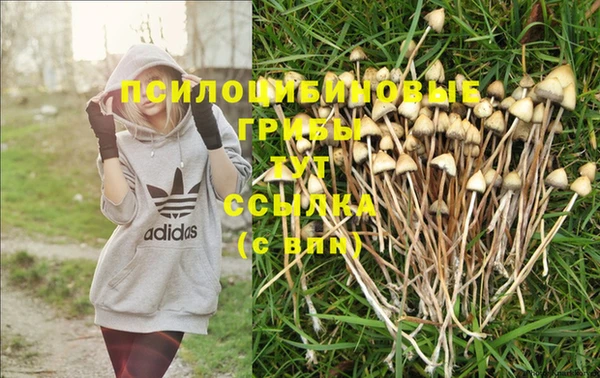 метамфетамин Новодвинск