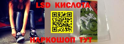 стафф Донецк