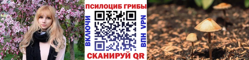 как найти   Похвистнево  shop наркотические препараты  Псилоцибиновые грибы мицелий 